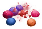 Image postée par le membre