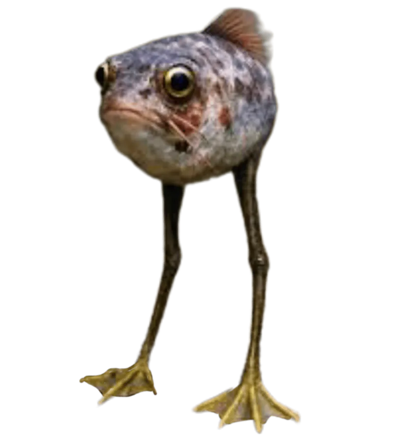Image postée par le membre