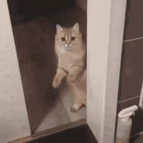 Image postée par le membre