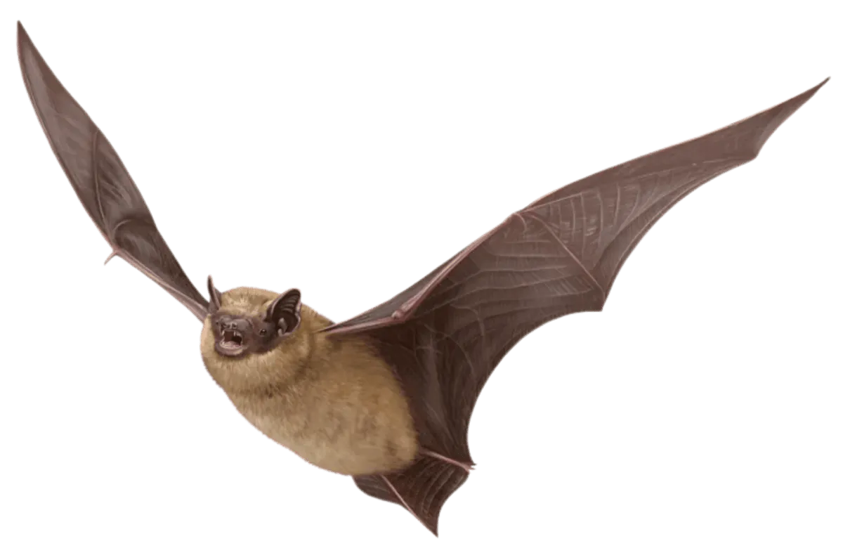 Image postée par le membre
