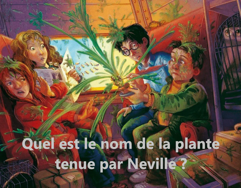Image postée par le membre