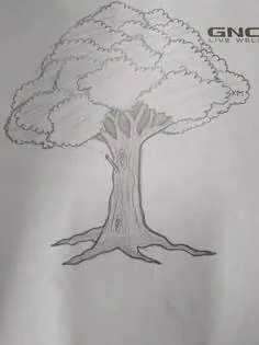 Image postée par le membre