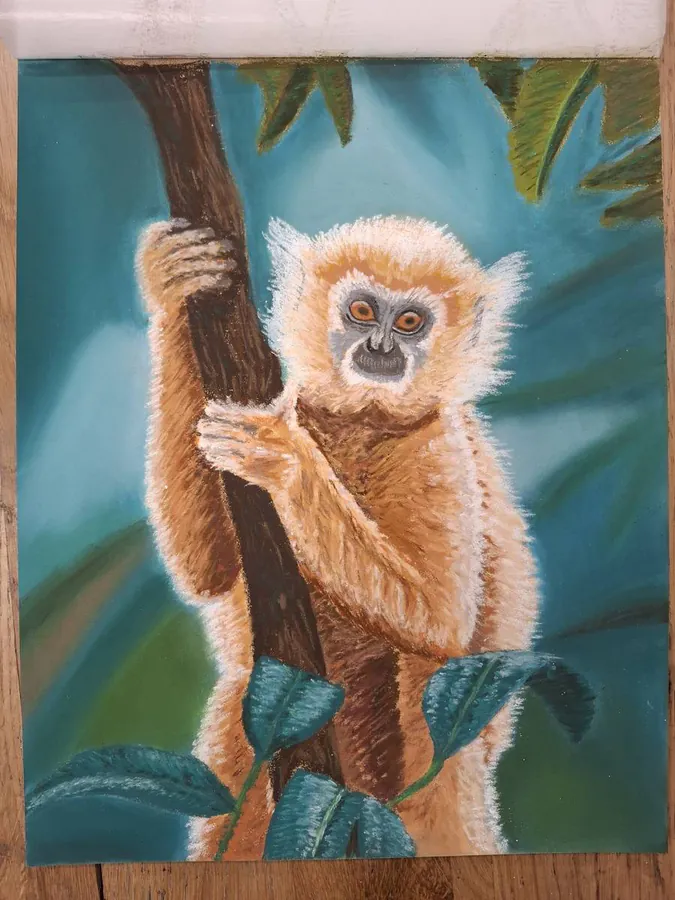 Image postée par le membre