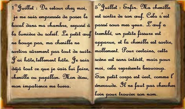 Image postée par le membre