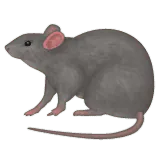 Image postée par le membre