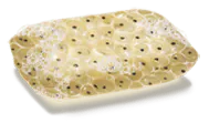 Image postée par le membre