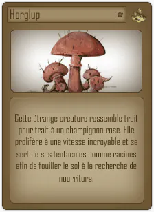 Image postée par le membre