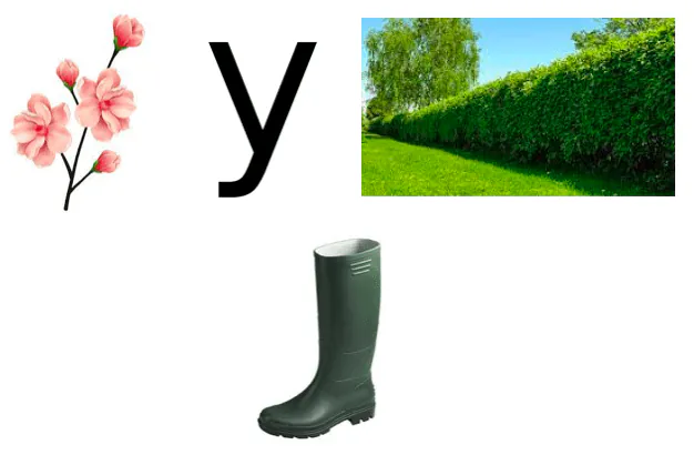 Image postée par le membre