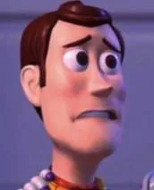 Image postée par le membre
