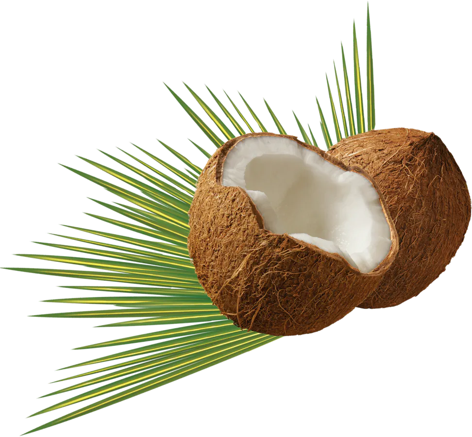 Image postée par le membre