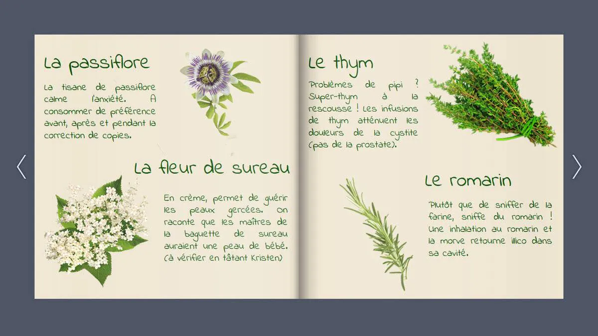 Image postée par le membre