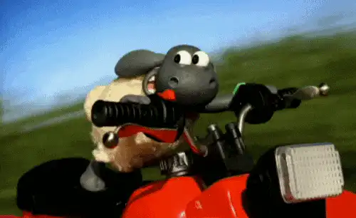 Image postée par le membre