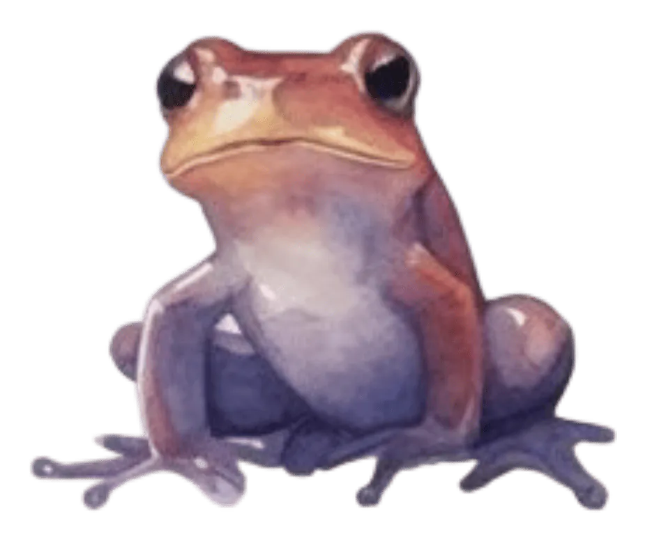Image postée par le membre