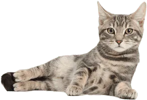 Image postée par le membre