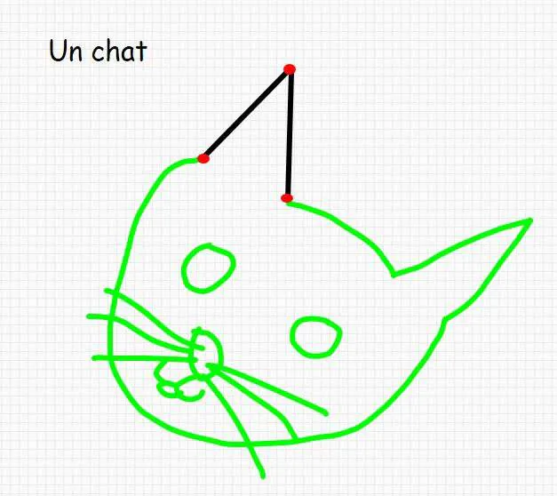 Image postée par le membre