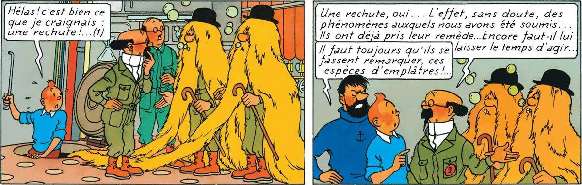 Image postée par le membre