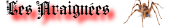 Image postée par le membre