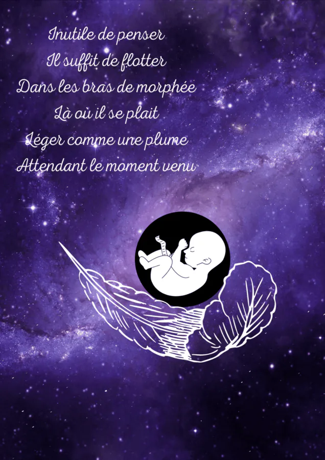 Image postée par le membre