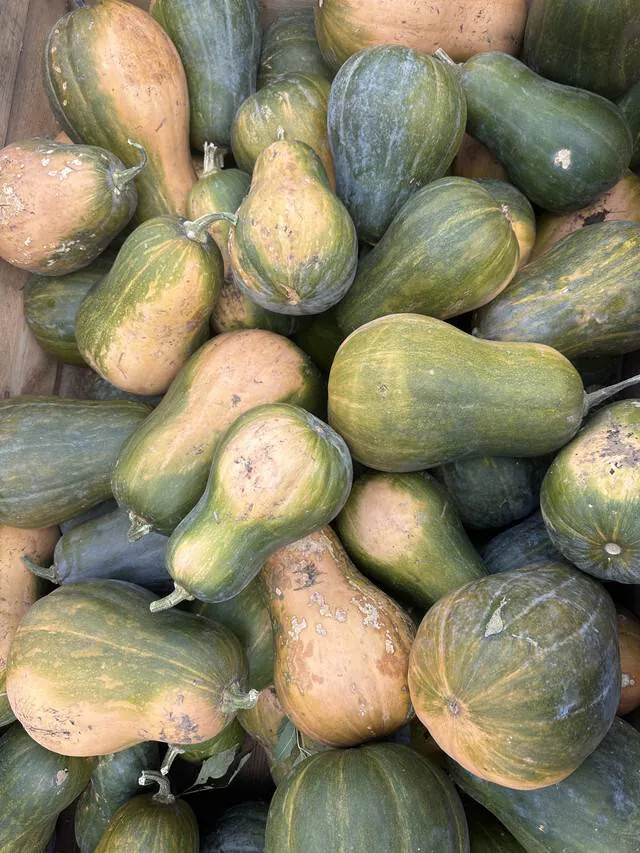 Image postée par le membre