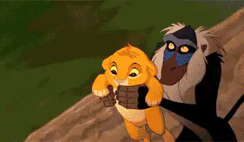 Image postée par le membre