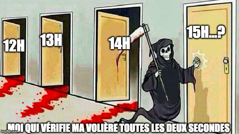 Image postée par le membre