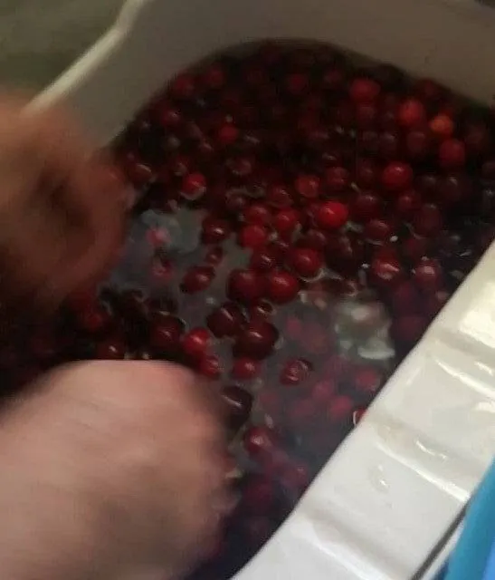 Image postée par le membre