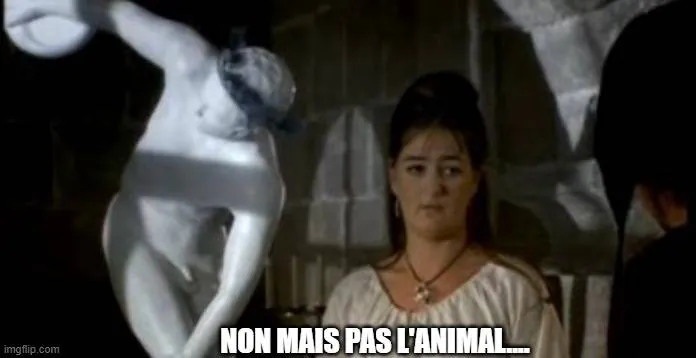 Image postée par le membre