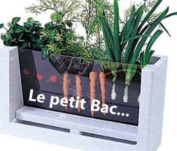 Image postée par le membre