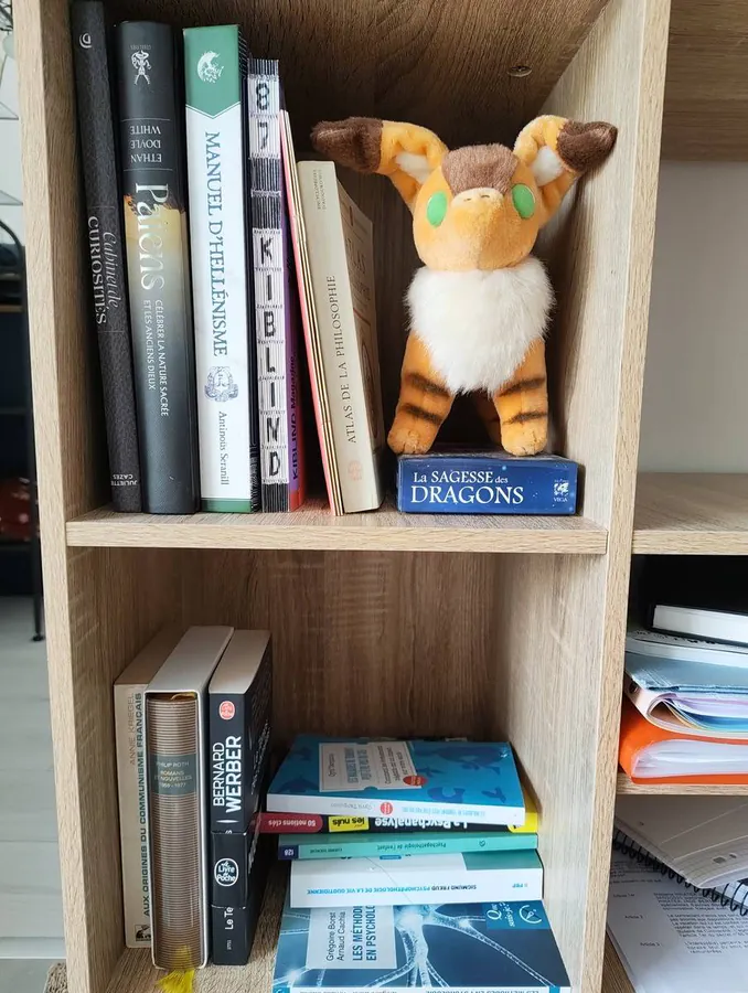 Image postée par le membre