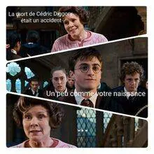 Image postée par le membre