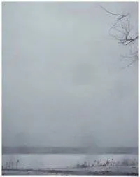 Image postée par le membre