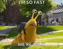 Image postée par le membre