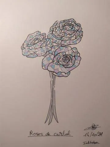 Image postée par le membre