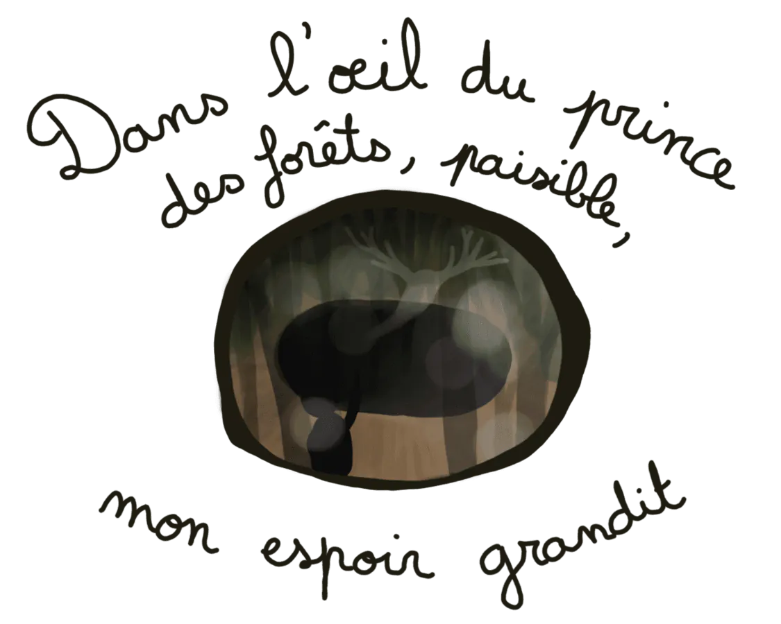 Image postée par le membre