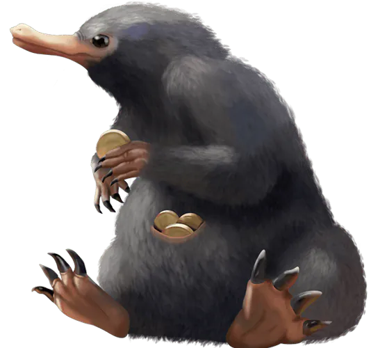 Image postée par le membre