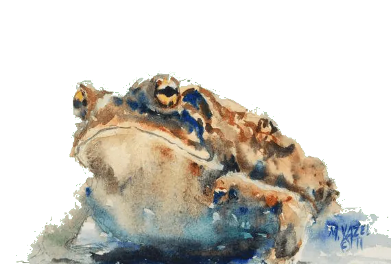 Image postée par le membre