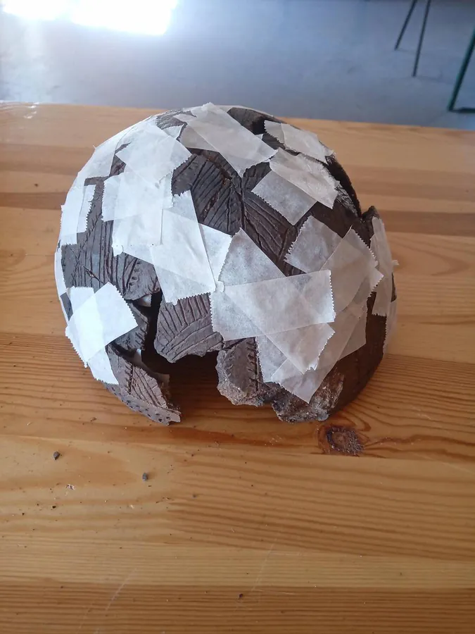 Image postée par le membre