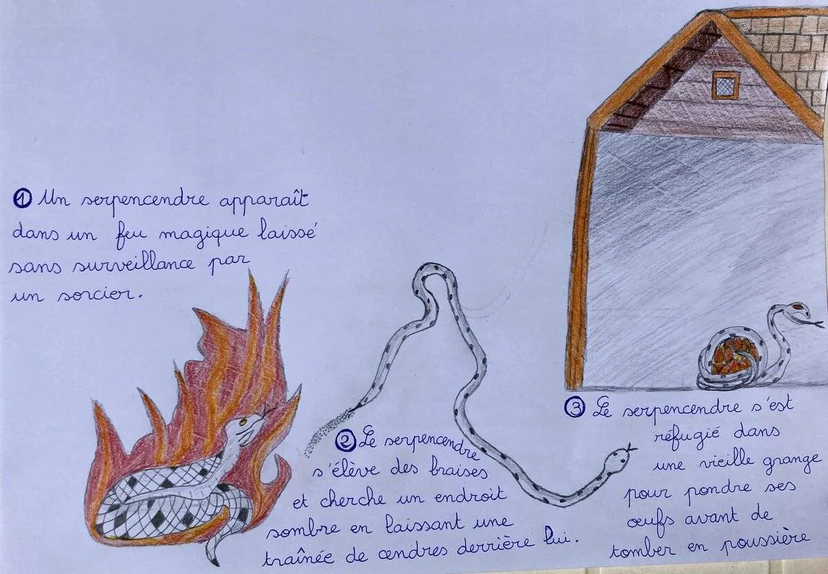 Image postée par le membre