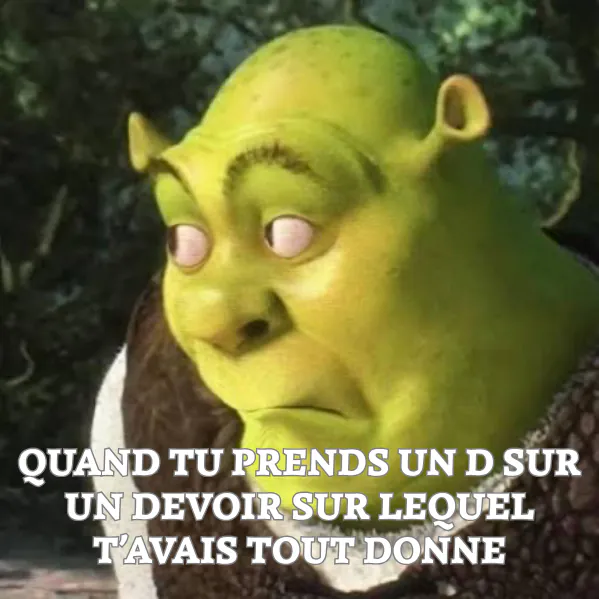 Même avoir un D