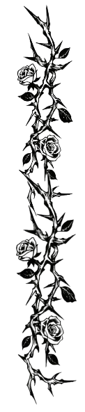 Image postée par le membre