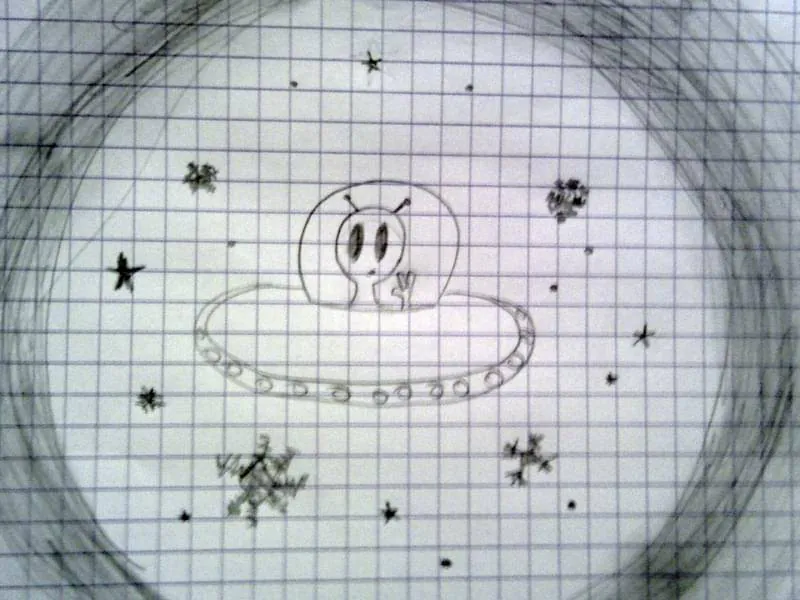 Image postée par le membre