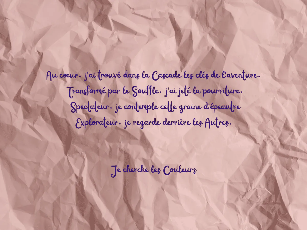 Image postée par le membre