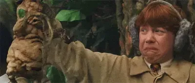 Image postée par le membre