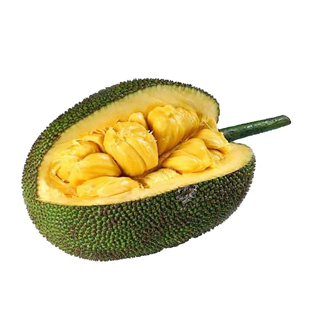 Image postée par le membre