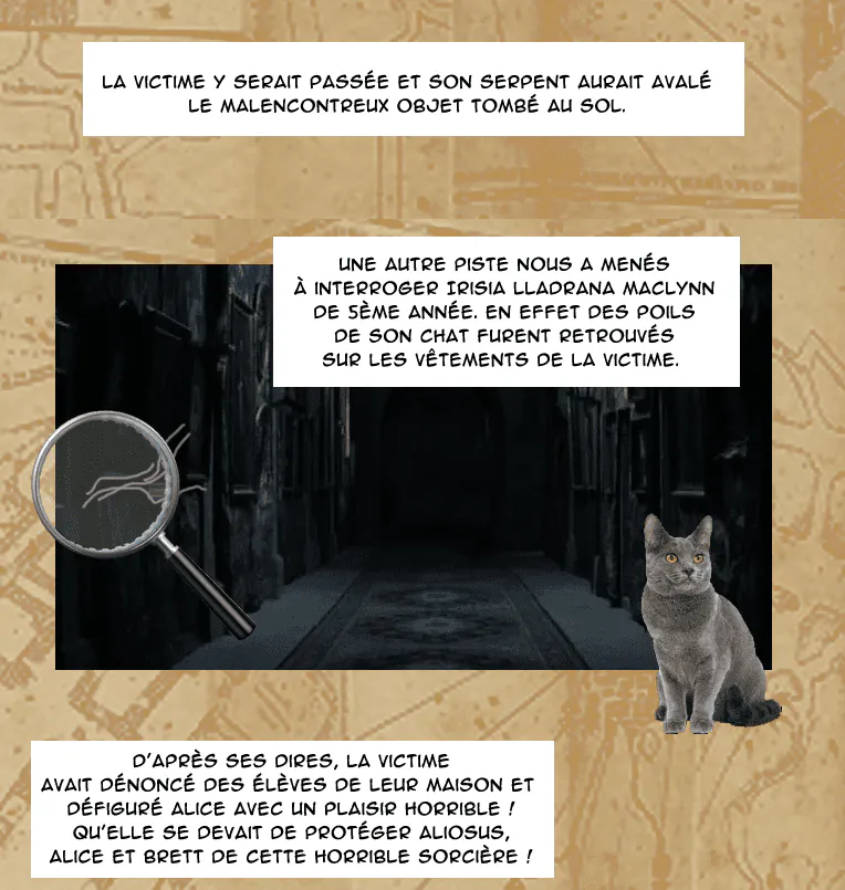 Image postée par le membre