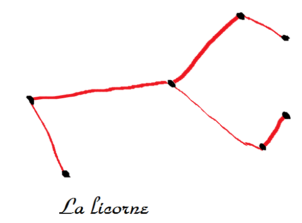 Image postée par le membre