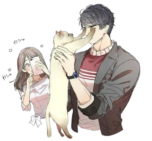 Image postée par le membre