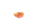 Image postée par le membre