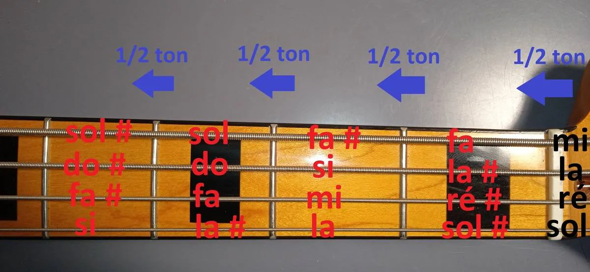 Image postée par le membre
