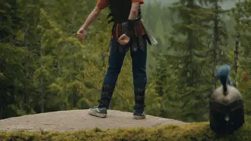 Image postée par le membre